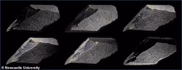 10 tảng đá khoảng 15.000 tuổi này được giới chuyên gia nhận định là những tác phẩm nghệ thuật lâu đời nhất ở Anh trong kỷ băng hà cuối cùng.