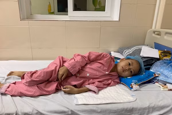 Bi kich nguoi dan ong co con ung thu, gia suc bi lu cuon sach-Hinh-2