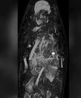 Với những món đồ tùy táng được tìm thấy cùng lớp vải niệm đặc biệt như trên, các chuyên gia suy đoán hai người này có thể đến từ tầng lớp có địa vị cao trong xã hội.