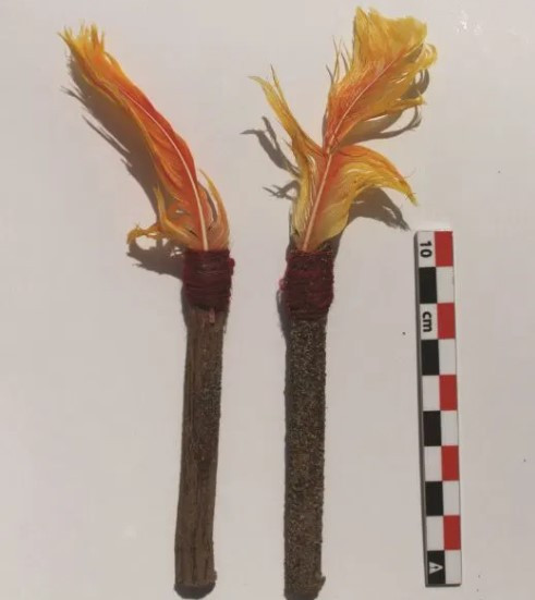 Việc tìm thấy xác ướp tự nhiên của 5 con lạc đà trên được các chuyên gia đánh giá là vô cùng hiếm gặp. Trong hơn 1 thế kỷ qua, các chuyên gia tiến hành cuộc khai quật dọc vùng ven biển Thái Bình Dương của Nam Mỹ và phát hiện nhiều di tích của đế chế Inca. Tuy nhiên, họ chưa bao giờ tìm thấy xác ướp lạc đà như phát hiện mới đây.