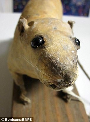 Thay vì sử dụng những con chuột sống, các nhà khoa học của SOE quyết định lựa chọn những con đã chết.