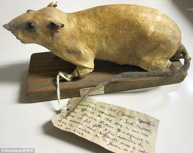 Với tham vọng trên, lực lương SOE chuẩn bị được một lô chuột chứa chất nổ bên trong và mang tới Đức. Tuy nhiên, các điệp viên của Anh chưa kịp đưa số vũ khí đặc biệt này tới các địa điểm tiếp theo thì bị quân Đức quốc xã phát hiện.