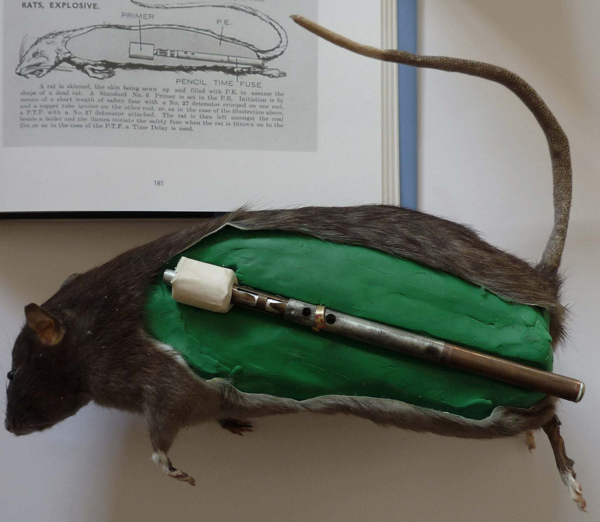 Theo kế hoạch, Anh sẽ bí mật đưa những con chuột chết chứa thiết bị nổ bên trong đến những khu vực có nồi hơi trong các nhà máy vũ khí của Đức.