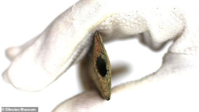 Các chuyên gia, nhà khoa học đặc biệt chú ý đến thanh kiếm. Nguyên do là bởi nó có hình dáng đặc biệt và được trang trí tinh xảo.