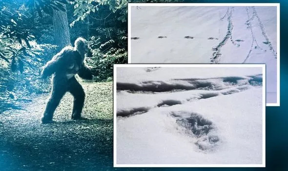 Do vậy, bí ẩn về sự tồn tại của Yeti vẫn chưa được giải đáp. Các nhà khoa học tiếp tục nghiên cứu để tìm ra bằng chứng người tuyết có thực sự tồn tại hay không.