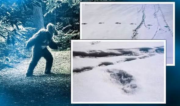 Do vậy, bí ẩn về sự tồn tại của Yeti vẫn chưa được giải đáp. Các nhà khoa học tiếp tục nghiên cứu để tìm ra bằng chứng người tuyết có thực sự tồn tại hay không.