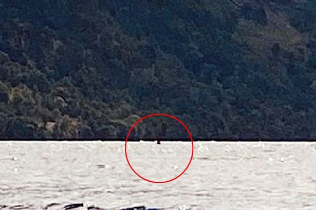 Vì vậy, nhiều cuộc tìm kiếm sinh vật bí ẩn này diễn ra tại hồ Loch Ness. Trong số này có việc các nhà khoa học tiến hành phân tích ADN trong vùng nước tại hồ Loch Ness để tìm ra có những sinh vật nào sinh sống.