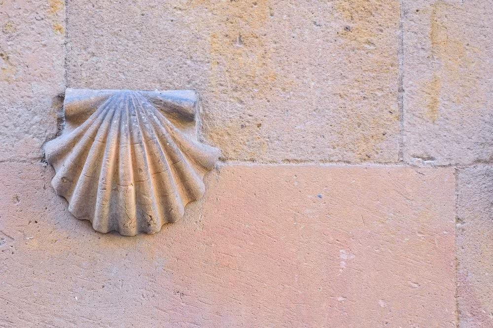 Đặc biệt, mặt tiền của tòa nhà Casa de las Conchas được trang trí bằng hơn 300 vỏ sò. Đây là biểu tượng của người hành hương cũng như Santiago. Casa de las Conchas từng được xem là công trình mang tính biểu tượng quyền lực của quý tộc.