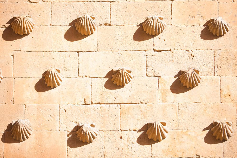 Sau khi cha chết, Rodrigo Arias Maldonado tiếp tục việc xây dựng ngôi nhà và hoàn thành công trình vào năm 1517.