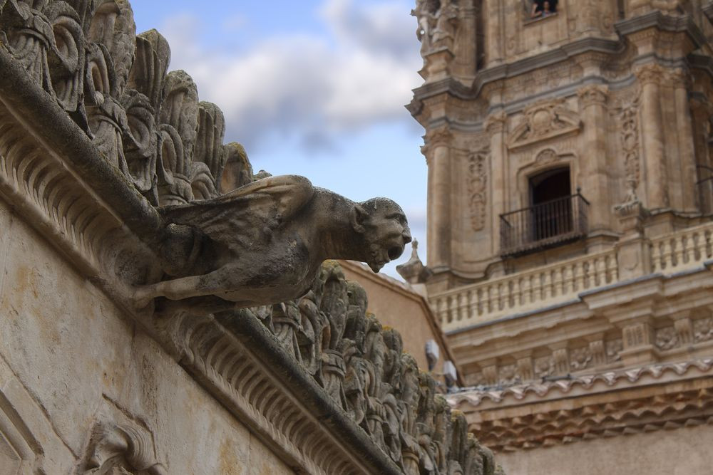 Gia đình cuối cùng sinh sống tại Casa de las Conchas là quản gia của Bá tước Santa Coloma. Sau đó nó trở thành trụ sở chính của Trường Cao đẳng Menéndez Pelayo và hoạt động cho đến những năm 1960.