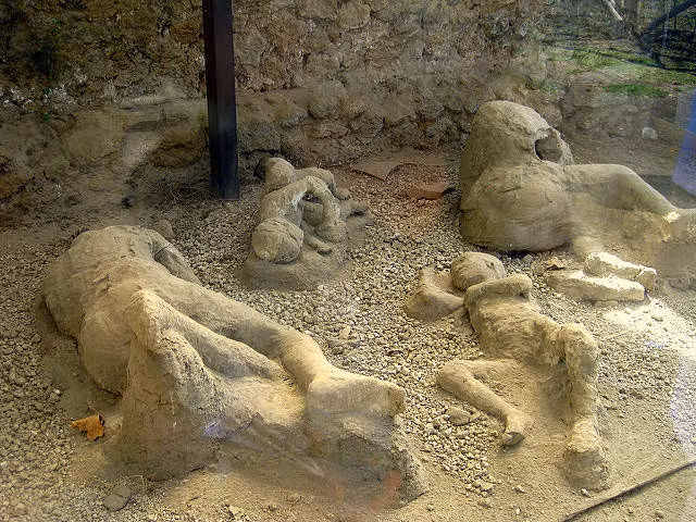 Không chỉ con người, hàng loạt động vật được các gia đình ở Pompeii nuôi cũng không thoát nạn và bị vùi lấp cùng chủ nhân.