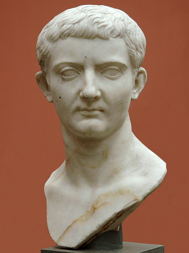 Từ đây, các chuyên gia cho hay bạo chúa Caligula có một vườn thú thu nhỏ gồm nhiều loài động vật khác nhau.