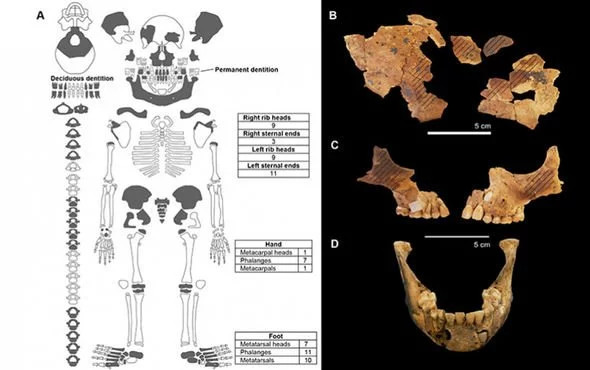 Tiến sĩ Sofia Samper Carro thuộc Đại học Quốc gia Australia là trưởng nhóm nghiên cứu cho hay một số bằng chứng cho thấy bộ hài cốt trẻ em này được chôn cất theo nghi lễ mai táng đặc biệt.