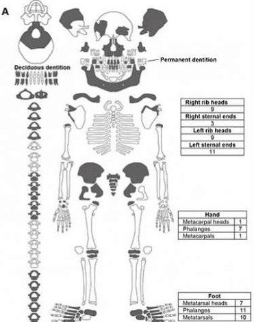 Với phát hiện hài cốt một đứa trẻ được mai táng từ 8.000 năm trước, các chuyên gia sẽ có thể giải mã được con người khi đấy chôn cất những đứa trẻ xấu số như thế nào.