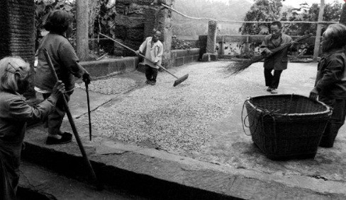 Khi ấy, làng Yangsi có khoảng 100 hộ dân. Căn bệnh bí ẩn chỉ tác động đến trẻ em. Những đứa trẻ này có các triệu chứng của bệnh như: đau đầu gối, yếu tay và chân, mất khả năng vận động.