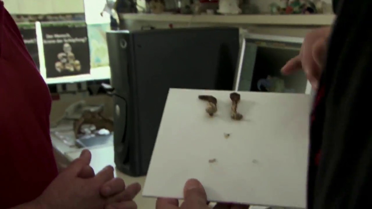 Để giải mã bí ẩn này một cách khoa học và chính xác nhất, các chuyên gia dự định cần thêm nhiều thời gian để xác thực và kiểm chứng thông tin cùng nhiều bằng chứng, tài liệu khác.