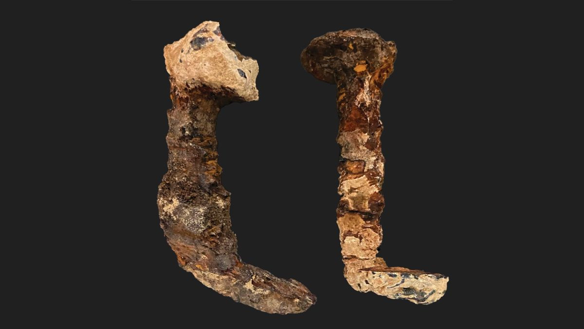 Mới đây, nhà địa chất học Aryeh Shimron, tác giả chính của một nghiên cứu được công bố trên tạp chí Archaeological Discovery, thông tin kết quả gây chú ý về 2 chiếc đinh cổ xưa trên.