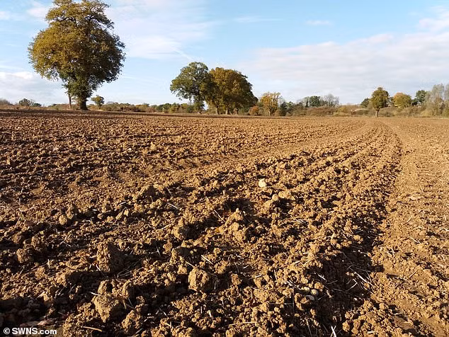 Theo đó, những đồng xu cổ thường mô tả tổ tiên của người Anglo-Saxon đến từ Anglia hoặc Angeln - bán đảo ở miền bắc nước Đức.