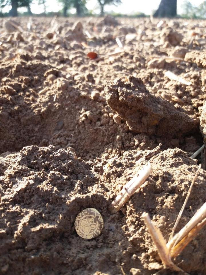 Một mặt của đồng xu vàng có đúc hình người đàn ông cầm trên tay một vật giống cây đinh ba. Đây được cho là một trong những đồng xu mô tả sớm nhất về người Anh.