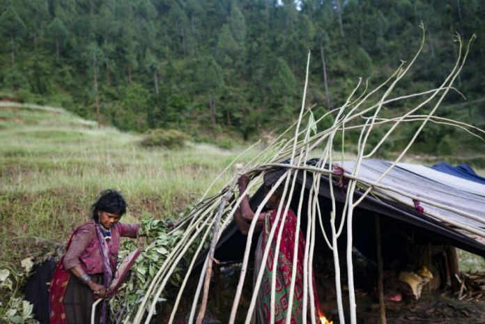 Vì vậy, bộ tộc Raute không xây dựng nhà cửa kiên cố. Thay vào đó, họ sống trong những trại có thể dễ dàng dựng nên và cũng thuận tiện trong việc tháo rời, đem đến nơi ở mới.