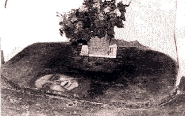 Tuy nhiên, một tuần sau, những gương mặt bí ẩn một lần nữa xuất hiện trên sàn nhà. Vì vậy, bà Pereira nhờ đến giới chức trách và các chuyên gia vào cuộc để tìm hiểu điều gì đang xảy ra.