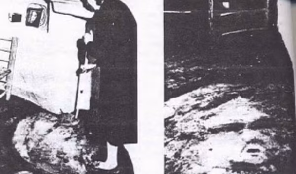 Vì thế, để có một nhìn nhận chính xác, các nhà khoa học đến nay vẫn đang cố gắng tìm hiểu bí ẩn của nhà bà Pereira dù gặp nhiều khó khăn.