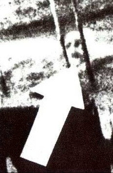 Điều đáng nói là 2 thủy này đã chết trong một tai nạn và được thủy táng dưới biển trước khi bức ảnh được chụp.