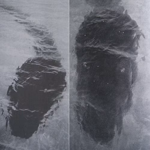 Khi quan sát kỹ bức ảnh, nhiều người nhận thấy có một vật thể lạ màu đen nghi là quái vật biển có chiều dài khoảng 25m. Tuy nhiên, người ta không thể xác định được nó là con vật gì.