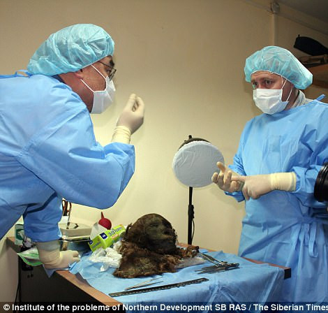 Kể từ đó đến nay, các chuyên gia tiếp tục nghiên cứu nhằm giải mã những bí ẩn khác liên quan đến xác ướp mỹ nhân này như nguyên nhân tử vong, chế độ ăn uống khi còn sống cũng như tìm ra vì sao bà được chôn trong khu chôn cất toàn nam giới.