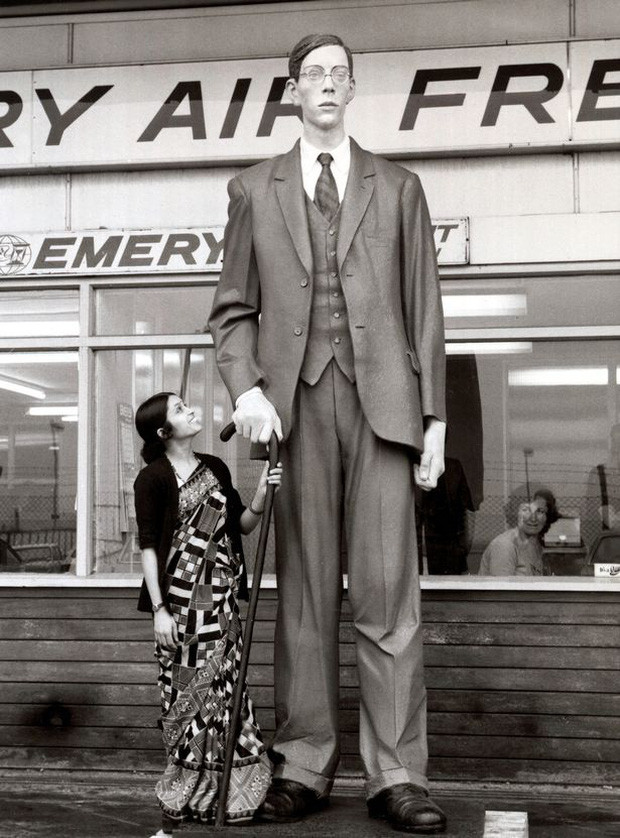 Người đàn ông cao nhất thế giới là kỷ lục mà Robert Wadlow xác lập năm 1940. Ông nổi bật với chiều cao 2,72m. Ngay từ khi lên 8 tuổi, ông Wadlow đã cao 1,8m và chiều cao này liên tiếp tăng thêm theo từng năm. Từ đó đến nay, chưa có người nào vượt qua kỷ lục chiều cao của ông.