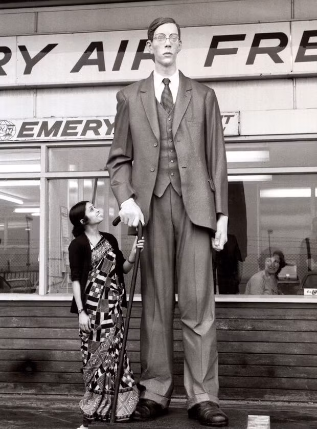 Người đàn ông cao nhất thế giới là kỷ lục mà Robert Wadlow xác lập năm 1940. Ông nổi bật với chiều cao 2,72m. Ngay từ khi lên 8 tuổi, ông Wadlow đã cao 1,8m và chiều cao này liên tiếp tăng thêm theo từng năm. Từ đó đến nay, chưa có người nào vượt qua kỷ lục chiều cao của ông.