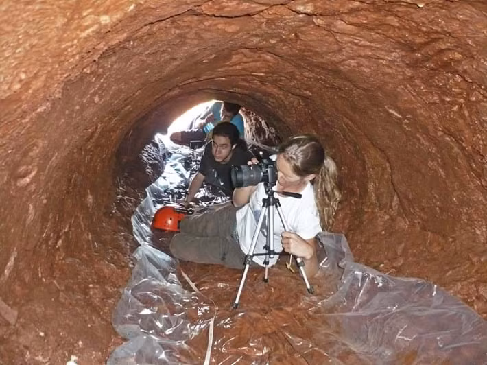 Thế nhưng, khi các chuyên gia phát hiện những dấu vết của móng vuốt khổng lồ ở bên trong đường hầm và tiến hành nghiên cứu sâu hơn thì có phát hiện đáng chú ý. Các chuyên gia nhận thấy những đường hầm khổng lồ không phải do con người tạo ra. Những dấu vết trên là do loài lười đất cổ đại đã tuyệt chủng để lại.