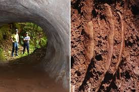 Tuy nhiên, nhiều chuyên gia không đồng tình quan điểm của giáo sư Frank. Họ cho rằng đây không phải là câu trả lời chính xác cho nguồn gốc của những "đường hầm cổ sinh". Vì vậy, họ tiếp tục thực hiện các nghiên cứu để sớm ngày tìm ra lời giải chính xác nhất cho bí ẩn mà con người đang khao khát giải mã.