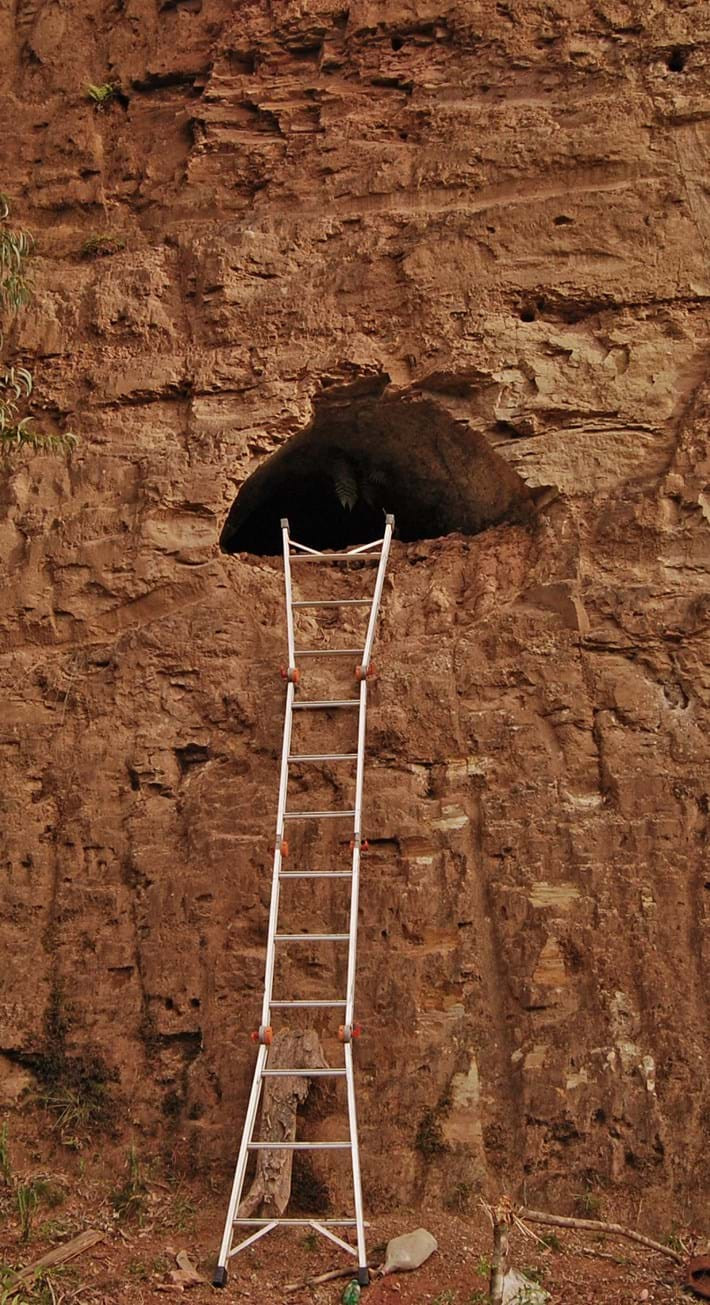 Từ đây, các chuyên gia gọi những đường hầm này là "đường hầm cổ sinh". Giáo sư Heinrich Frank ở Brazil là người đầu tiên đưa ra thuật ngữ trên.