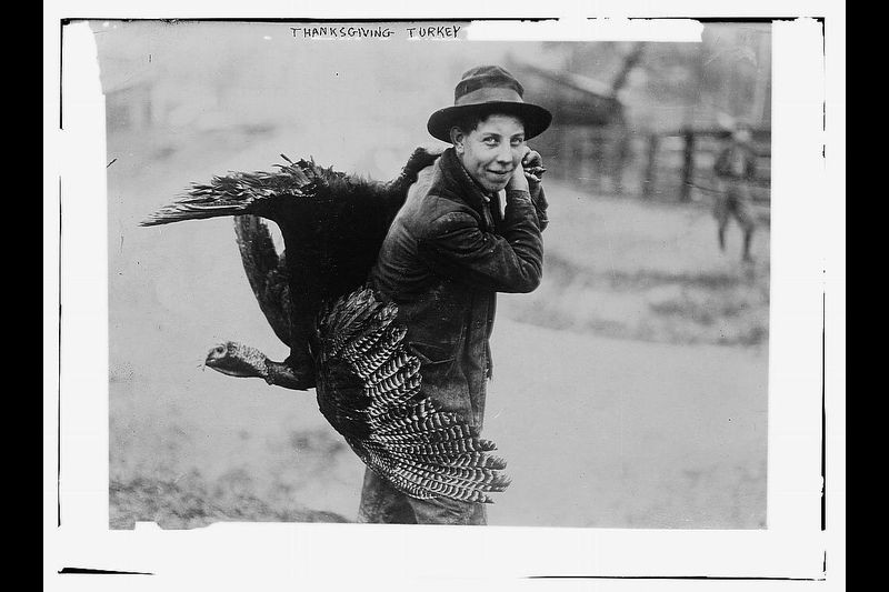 Vào lễ Tạ ơn, món gà tây là món ăn không thể thiếu trong bữa ăn của người dân Mỹ. Trong ảnh là một cậu bé vác trên vai một con gà tây về nhà để chuẩn bị cho bữa tối.