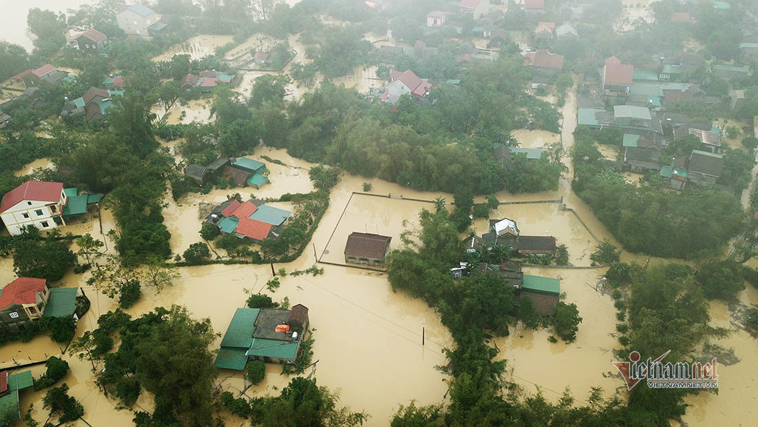 Canh tuong nuoi lon, trau bo mua lu chua tung thay o Nghe An