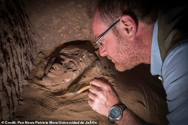 Vào năm 2016, các nhà khảo cổ tìm thấy quan tài làm từ gỗ tuyết tùng tại một địa điểm trên bờ sông Nile. Bên trong quan tài chứa thi hài một nữ quý tộc Ai Cập có tên Quý bà Sattjeni.