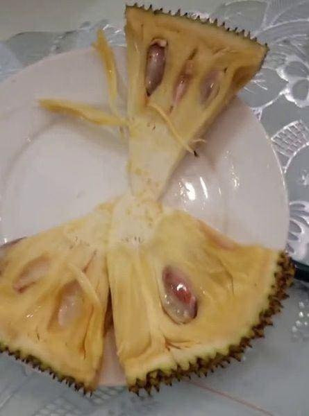 Từng miếng mít được bày gọn gàng trên đĩa dường như khiến cư dân mạng được phen phì cười, người cảm thông, kẻ lại "bó tay" trước cách bổ mít của cô gái.