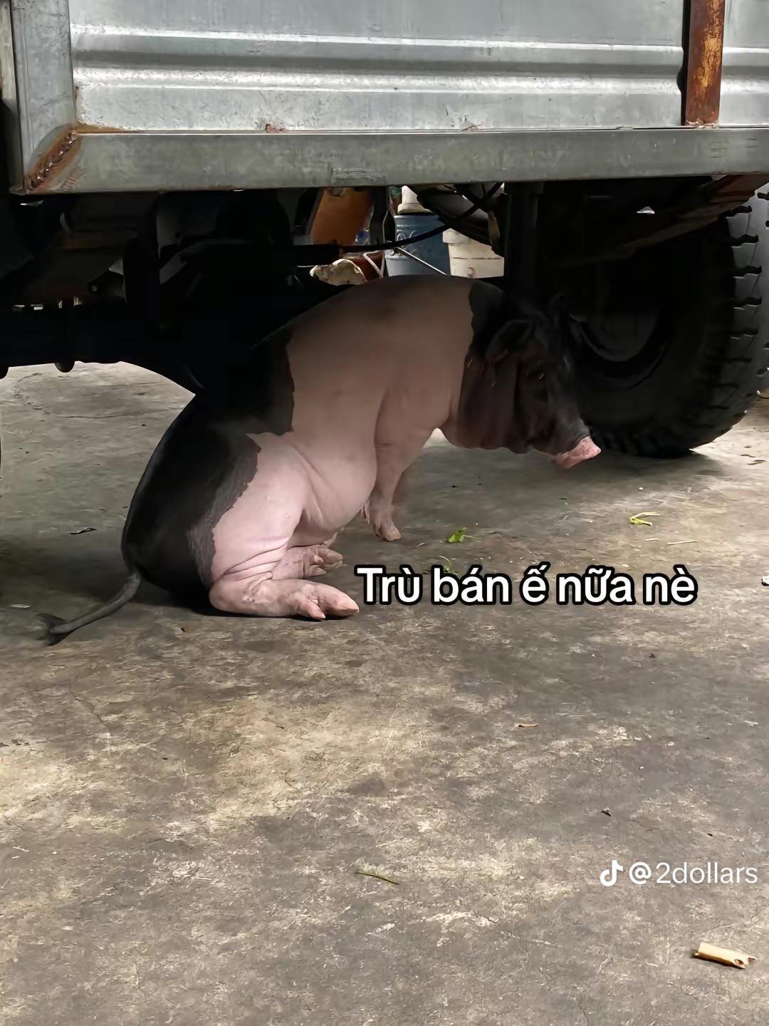 Câu chuyện dở khóc dở cười của nam thanh niên ngay lập tức đã thu hút được sự chú ý của cư dân mạng.