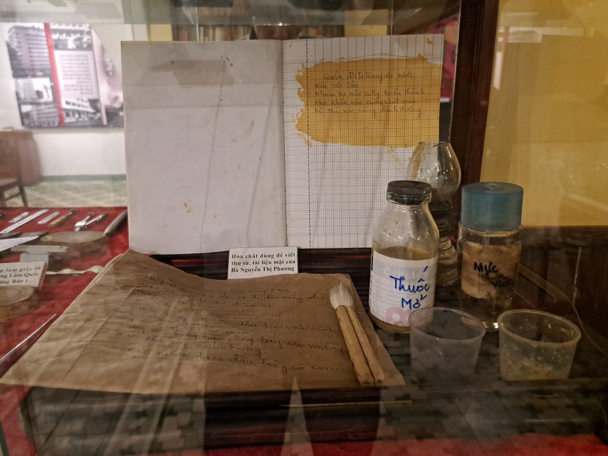 Bao tang Biet dong Sai Gon - Gia Dinh co gi dac biet ?-Hinh-7