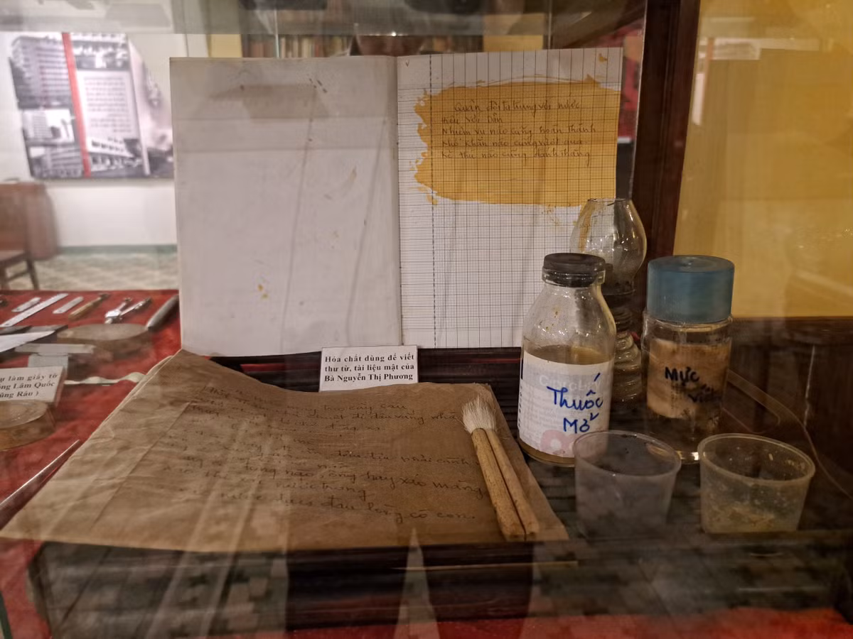 Bao tang Biet dong Sai Gon - Gia Dinh co gi dac biet ?-Hinh-7