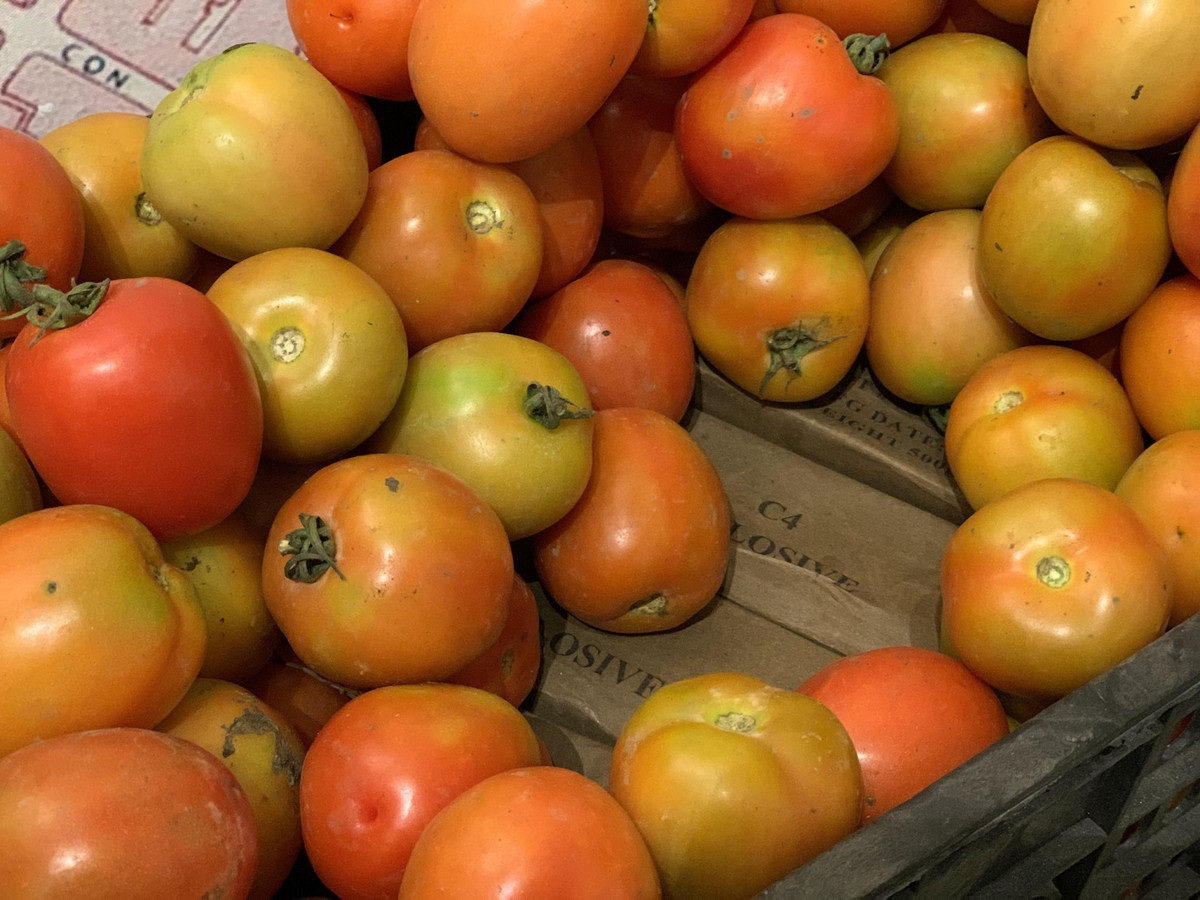 Bao tang Biet dong Sai Gon - Gia Dinh co gi dac biet ?-Hinh-18