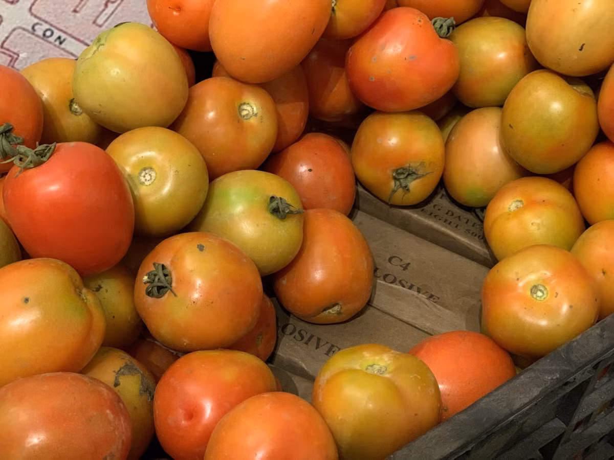 Bao tang Biet dong Sai Gon - Gia Dinh co gi dac biet ?-Hinh-18