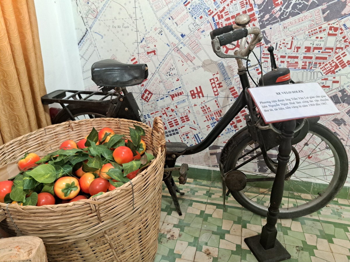 Bao tang Biet dong Sai Gon - Gia Dinh co gi dac biet ?-Hinh-10