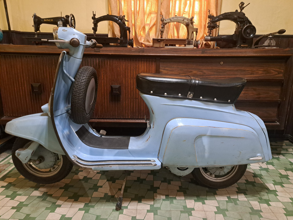 Bao tang Biet dong Sai Gon - Gia Dinh co gi dac biet ?-Hinh-11