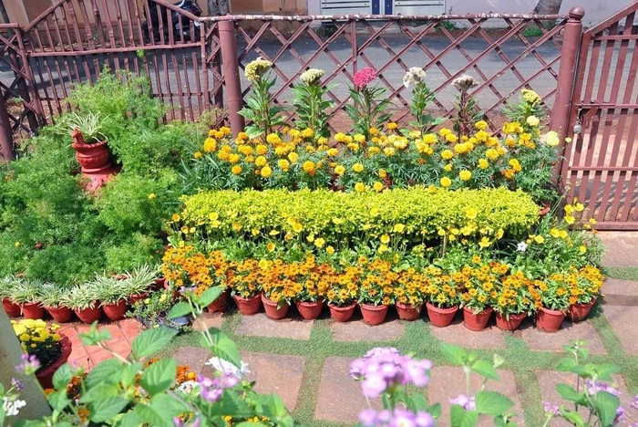 Tái chế chai nhựa, giày cũ thành khu vườn tuyệt đẹp - Hình 4 Tai che chai nhua, giay cu thanh khu vuon tuyet dep-Hinh-4