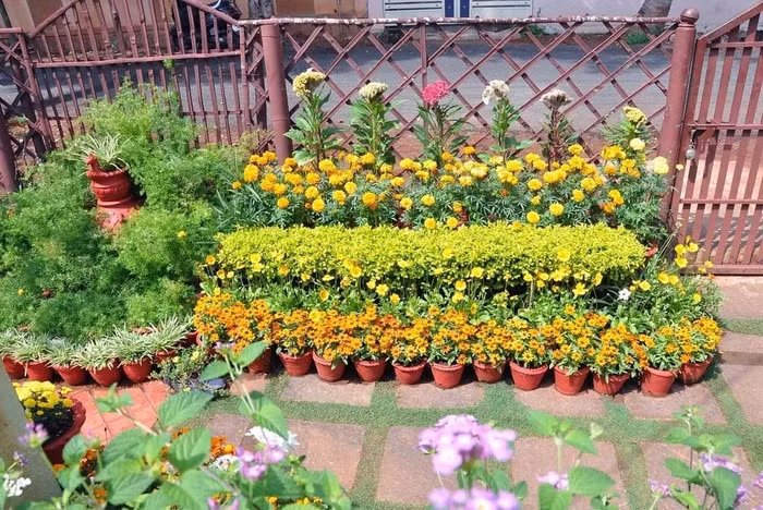 Tai che chai nhua, giay cu thanh khu vuon tuyet dep-Hinh-4