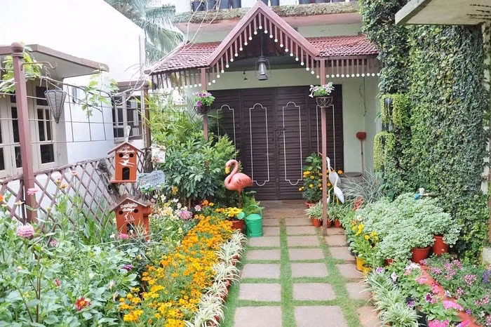 Tai che chai nhua, giay cu thanh khu vuon tuyet dep-Hinh-2