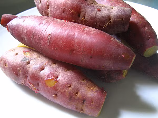 Củ khoai lang có vị ngọt, tính bình, không độc, bổ ích lao thương, mạnh tỳ thận, công dụng như sơn dược (hoài sơn, củ khoai mài). Đông y dùng khoai lang chữa bệnh trong nhiều trường hợp.