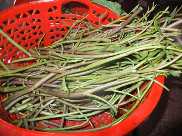 Còn theo Đông y, rau muống có vị ngọt, tính hơi lạnh (khi nấu chín thì lạnh giảm) đi vào các kinh tâm, can, tiểu trường, đại trường. Có công năng thanh nhiệt, lương huyết, chỉ huyết, thông đại tiểu tiện, lợi thủy, giải độc khi cơ thể bị xâm nhập các chất độc của nấm độc, cá, thịt độc, khuẩn độc hoặc độc chất do côn trùng, rắn, rết cắn... Sau đây là một số bài thuốc từ rau muống mà người dân vẫn thường dùng.